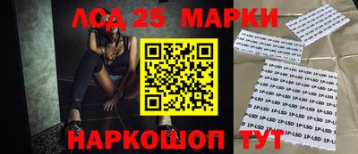 стаф Обнинск
