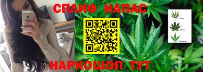 гидропоника Нягань
