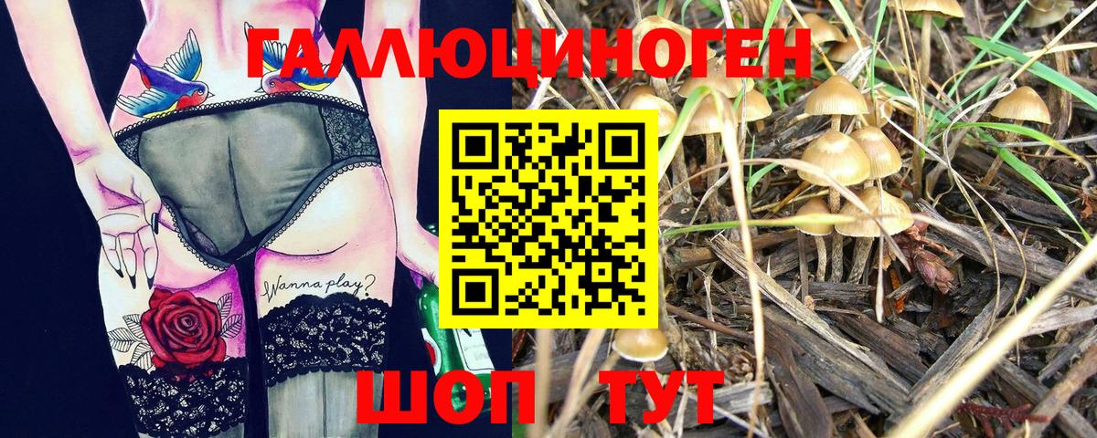 Галлюциногенные грибы прущие грибы  Вход с VPN  Солнечногорск 